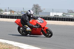 debutant (50)